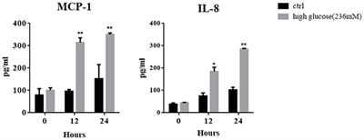 Proinflammatory Effect of High Glucose Concentrations on HMrSV5 Cells via the Autocrine Effect of HMGB1